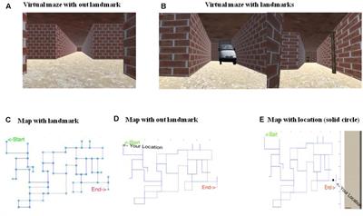 Influence of Landmarks on Wayfinding and Brain Connectivity in Immersive Virtual Reality Environment